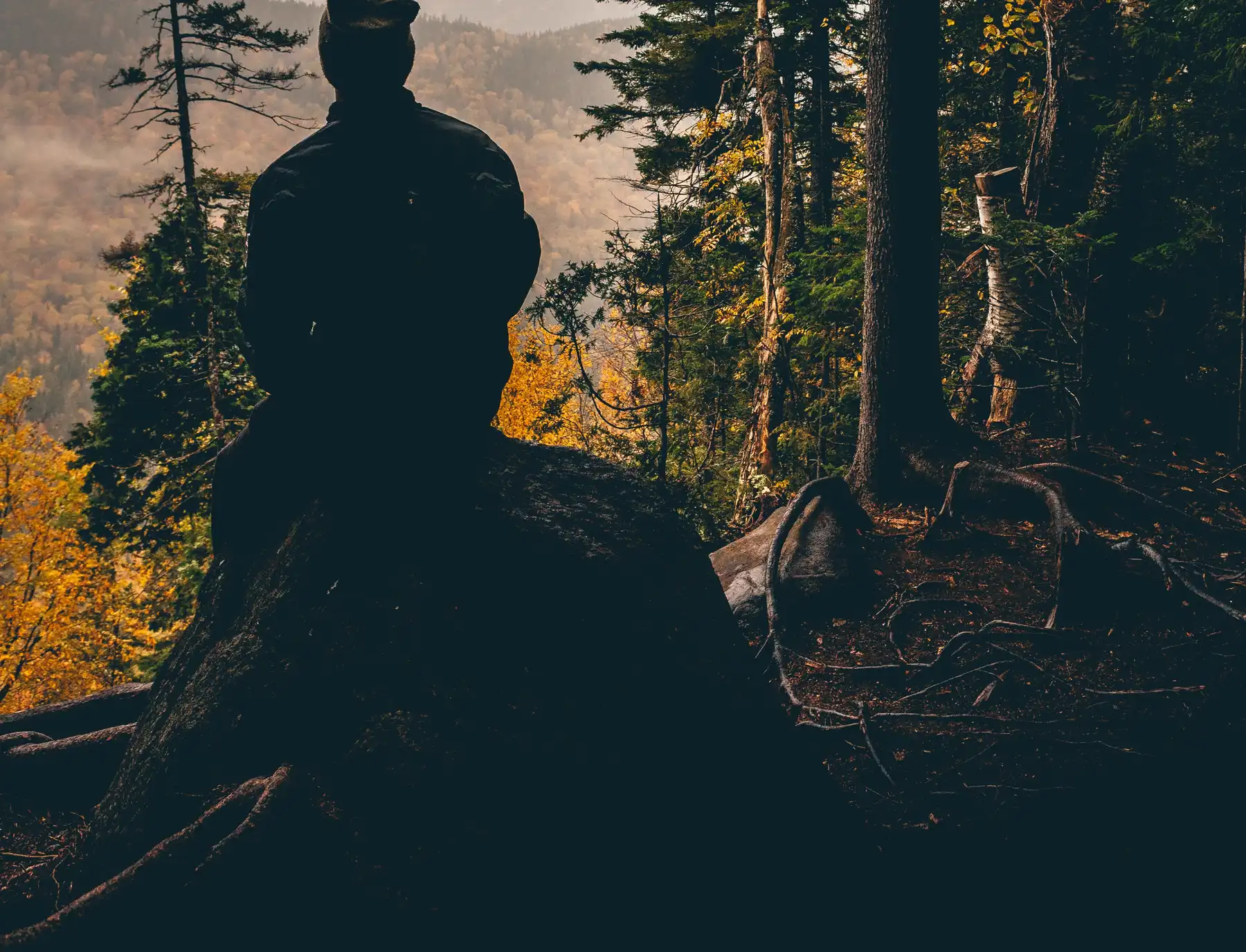 Person sitting and overlooking forest valley